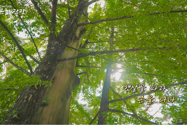 한국산림복지진흥원 [명사와 함께하는 산림문화관광]