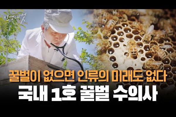 대전MBC 인생내컷 [국내 1호 꿀벌 수의사] 포트폴리오 썸네일