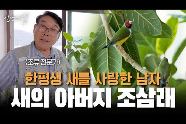 대전MBC 인생내컷 [새의 아버지 조삼래] 포트폴리오 썸네일