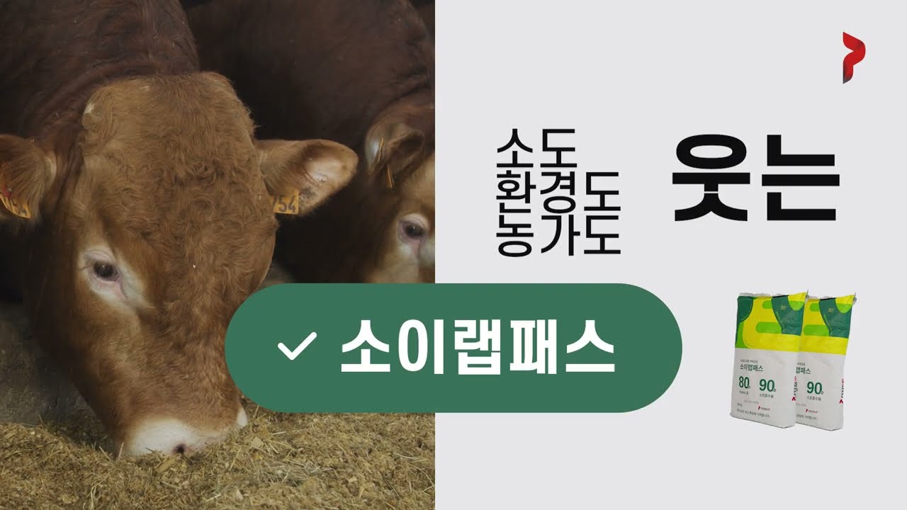  [제품홍보영상] 가축사료기업 피드업 포트폴리오 썸네일